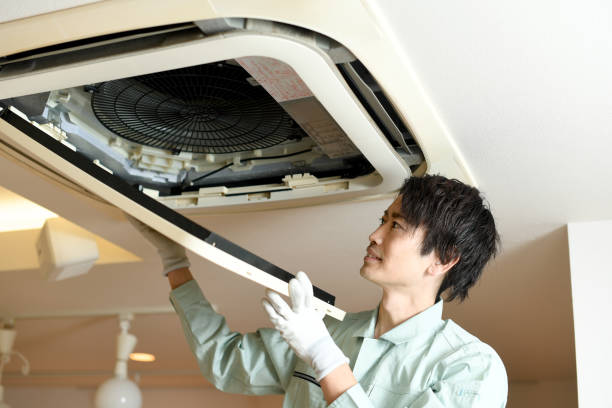 Best Air Vent Cleaning Services  in Reed City, MI