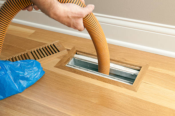 Best Dryer Vent Cleaning Services  in Reed City, MI
